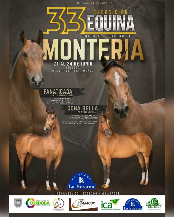 https://www.suscaballos.com/La 33 Exposición Equina Grado A de Monteria Tendrá Una Gran Premiación