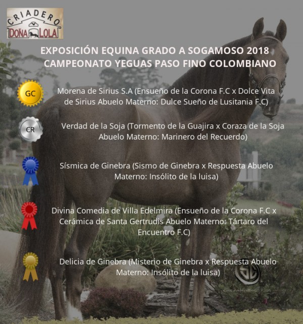 https://www.suscaballos.com/RESULTADOS Exposición Equina Grado A Sogamoso 2018 - PASO FINO COLOMBIANO
