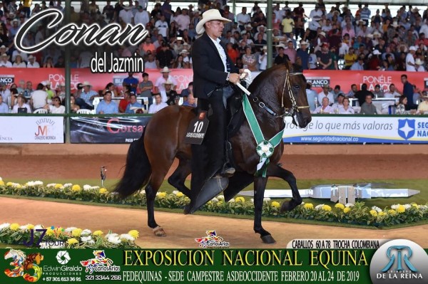 https://www.suscaballos.com/VÍDEO: Conán del Jazmín en la Nacional 2019