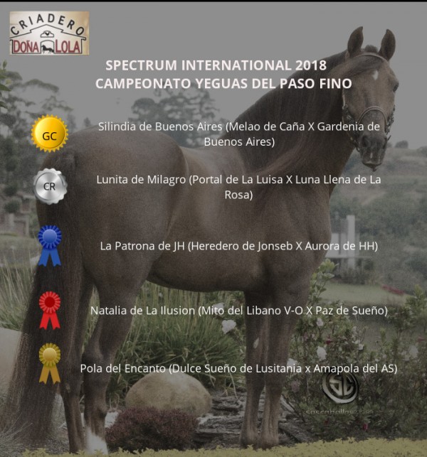https://www.suscaballos.com/RESULTADOS Y FOTOS SPECTRUM INTERNATIONAL 2018 - DÍA DOMINGO