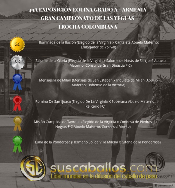 https://www.suscaballos.com/VÍDEO: Iluminada Campeona, Salome Reservada, Trocha Colombiana, Armenia 2017