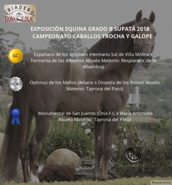 https://www.suscaballos.com/VÍDEO: Espartaco Campeón, Optimus Reservado, Trocha Y Galope, Supatá 2018