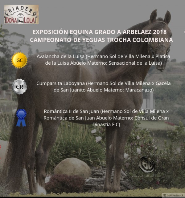 https://www.suscaballos.com/VÍDEO: Avalancha Campeona, Cumparsita Reservada, Trocha Colombiana, Arbeláez
