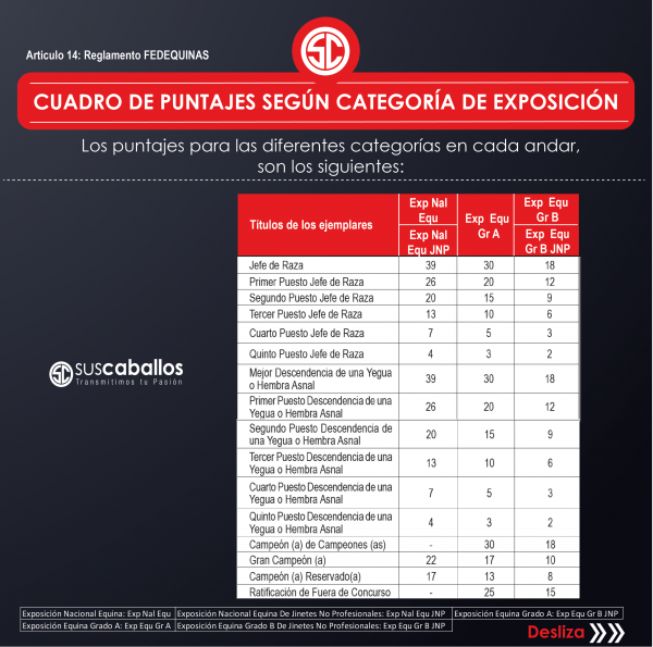 https://www.suscaballos.com/CUADRO DE PUNTAJES SEGÚN CATEGORÍA DE EXPOSICIÓN
