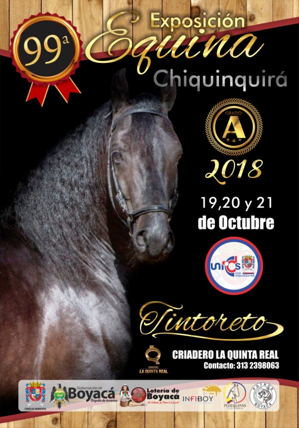 https://www.suscaballos.com/RESULTADOS 99a Exposición Equina Grado A Chiquinquirá 2018 - PASO FINO COLOMBIANO