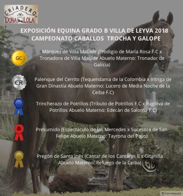 https://www.suscaballos.com/VÍDEO: Márquez Campeón, Palenque Reservado, Trocha Y Galope, Villa de Leyva