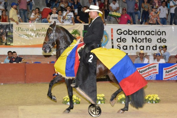https://www.suscaballos.com/VÍDEO: Cantinero Campeón, Onaxis Reservado, Trocha Colombiana, Cúcuta 2017