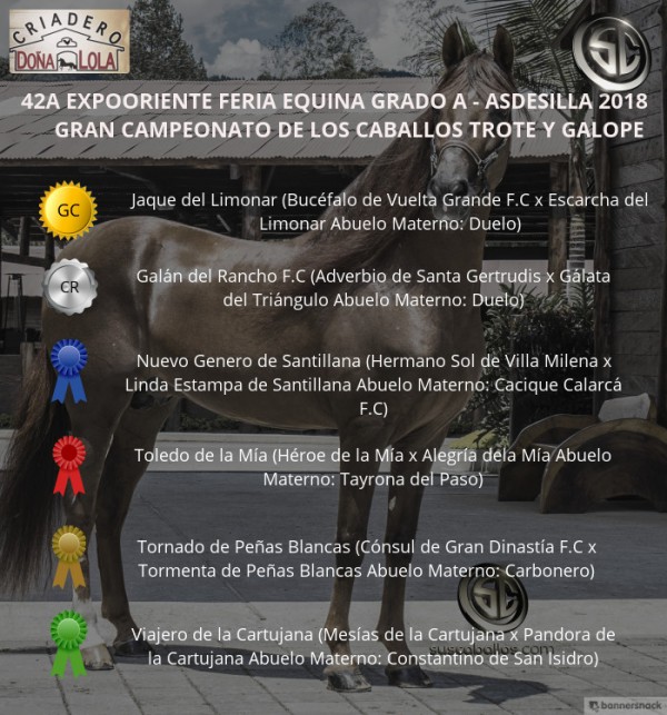 https://www.suscaballos.com/VÍDEO: Jaque Campeón, Galán Reservado, Trote Y Galope, Expooriente 2018