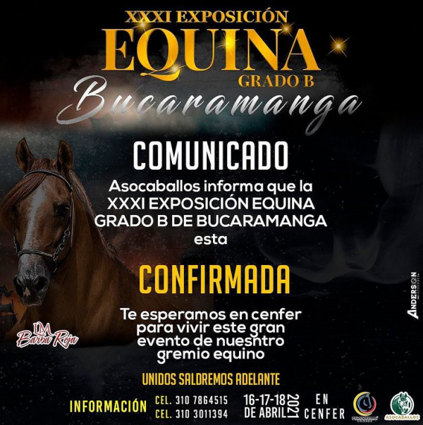 https://www.suscaballos.com/XXXI EXPOSICIÓN EQUINA GRADO B EN BUCARAMANGA