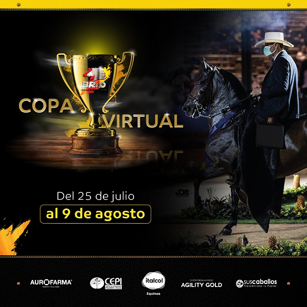 https://www.suscaballos.com/Pronto COPA BRÍO donde se encuentran los mejores!