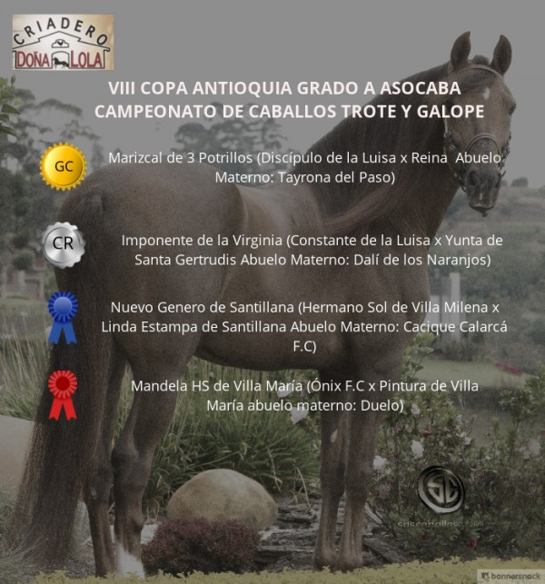 https://www.suscaballos.com/VÍDEO: Marizcal hijo de Discípulo Gran Campeón Trote y Galope, Copa Antioquia