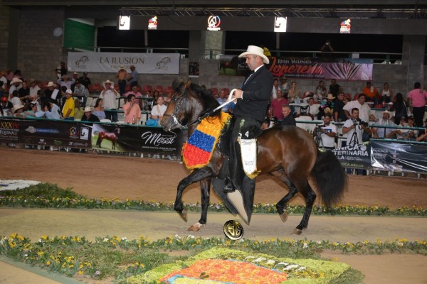 https://www.suscaballos.com/VÍDEO: Kaín Campeón, Magnifico Reservado, Trocha Colombiana, Nacional 2018