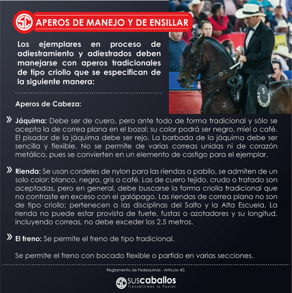 https://www.suscaballos.com/APEROS DE MANEJO Y DE ENSILLAR - Reglamento de Fedequinas