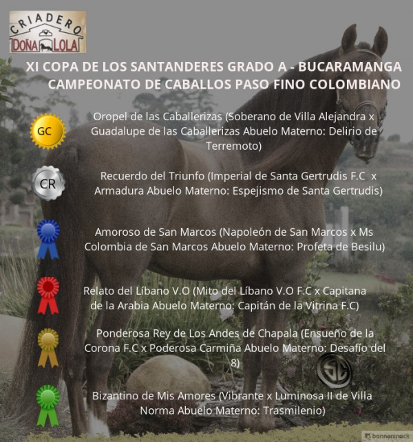 https://www.suscaballos.com/VÍDEO:Oropel Campeón, Recuerdo Reservado, Paso Fino Colombiano, Bucaramanga 2018