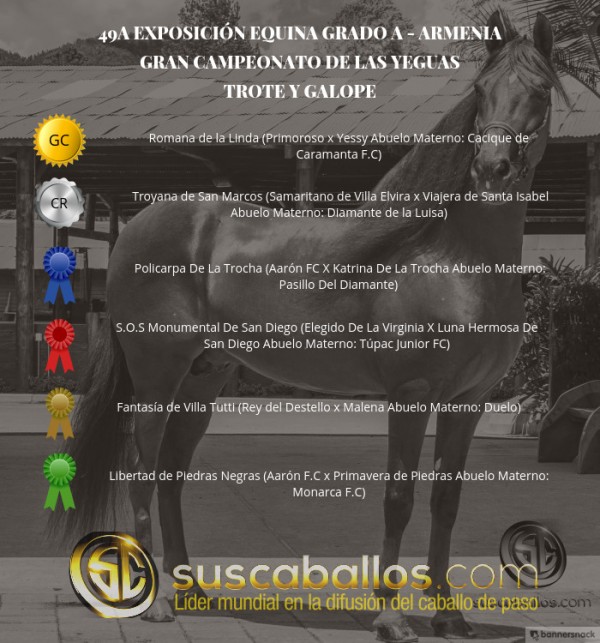 https://www.suscaballos.com/VÍDEO: Romana Campeona, Troyana Reservada, Trote Y Galope, Armenia 2017