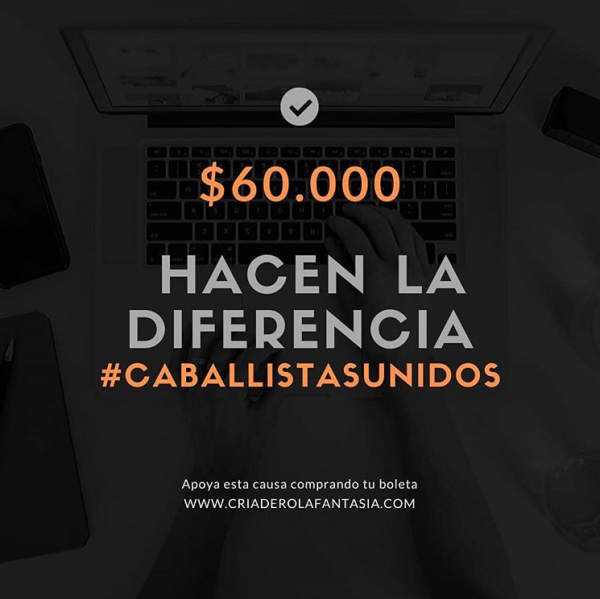 https://www.suscaballos.com/RIFA - Caballistas UNIDOS por una noble causa!